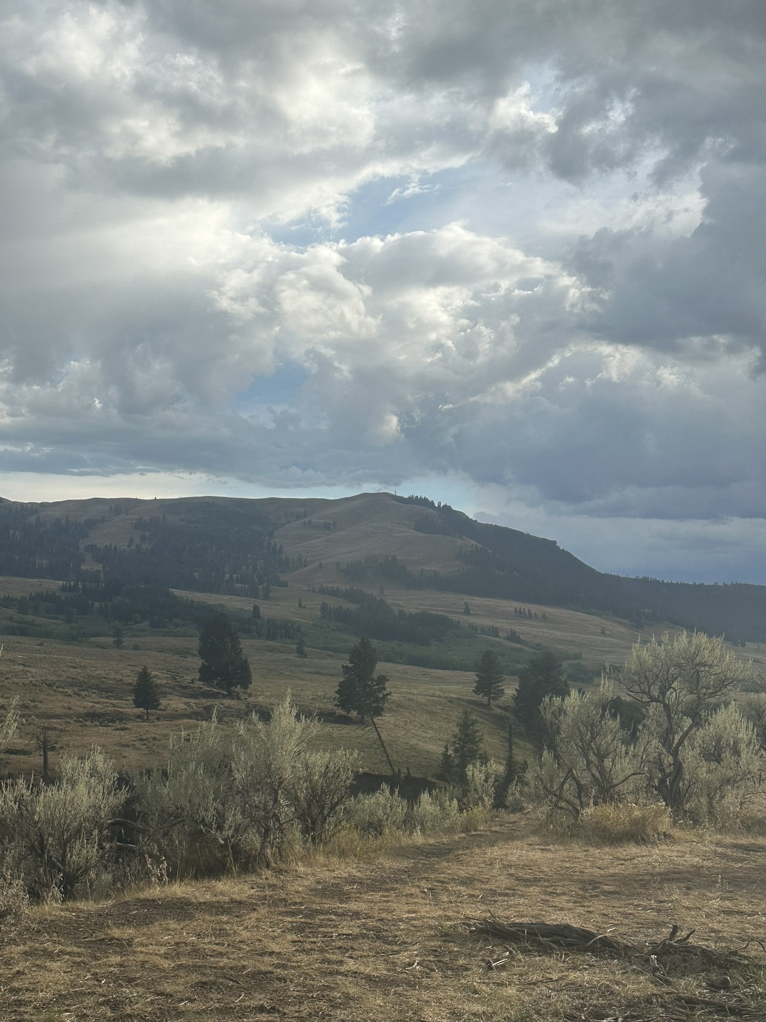 Yellowstone And Grand Teton National Parks - Image 1112